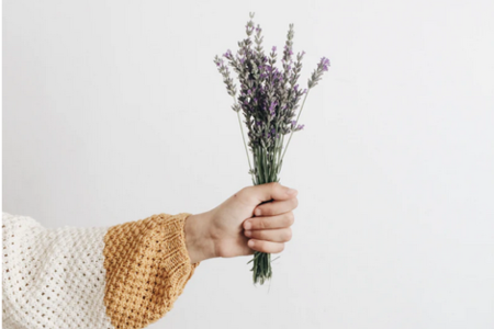 Jemand hält einen Blumenstrauß mit Lavendel.