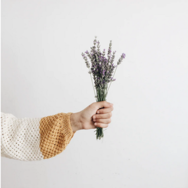 Jemand hält einen Blumenstrauß mit Lavendel.