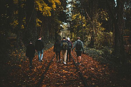 Sechs Jugendliche gehen im Wald spazieren
